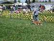 Enlarge photo 57