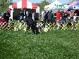 Enlarge photo 58