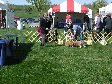 Enlarge photo 59