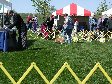 Enlarge photo 60