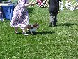 Enlarge photo 65