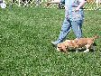 Enlarge photo 68