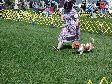 Enlarge photo 69