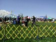 Enlarge photo 71