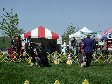 Enlarge photo 72