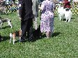 Enlarge photo 74