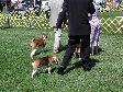 Enlarge photo 76