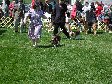 Enlarge photo 77
