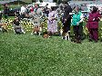 Enlarge photo 78
