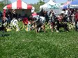 Enlarge photo 79