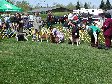 Enlarge photo 80