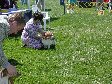Enlarge photo 82