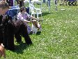 Enlarge photo 83