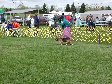 Enlarge photo 97