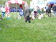 Enlarge photo 98