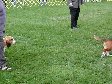 Enlarge photo 99