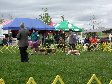 Enlarge photo 104