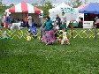 Enlarge photo 107