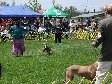 Enlarge photo 109