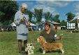 Enlarge photo 122