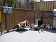 Enlarge photo 25