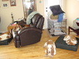 Enlarge photo 30