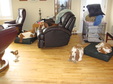 Enlarge photo 31