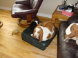 Enlarge photo 32