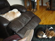 Enlarge photo 34