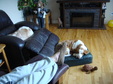 Enlarge photo 36