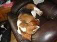 Enlarge photo 37