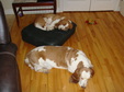 Enlarge photo 38
