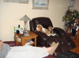 Enlarge photo 39