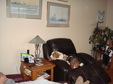 Enlarge photo 40