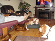 Enlarge photo 46