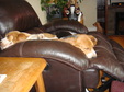 Enlarge photo 48