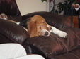Enlarge photo 49