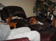 Enlarge photo 50