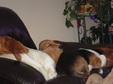 Enlarge photo 53