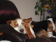 Enlarge photo 55