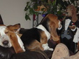 Enlarge photo 56