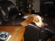 Enlarge photo 58