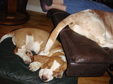 Enlarge photo 59