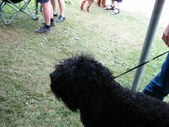 Enlarge photo 21