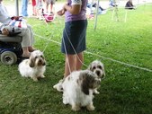 Enlarge photo 25