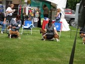 Enlarge photo 29