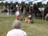 Enlarge photo 38