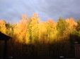 Fall 2012