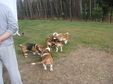 Enlarge photo 13