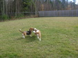Enlarge photo 14